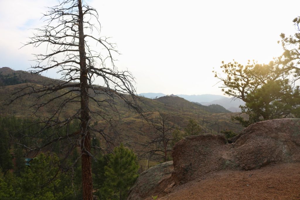 Institute for Educational Advancement - Connecting bright minds; nurturing intellectual and personal growth